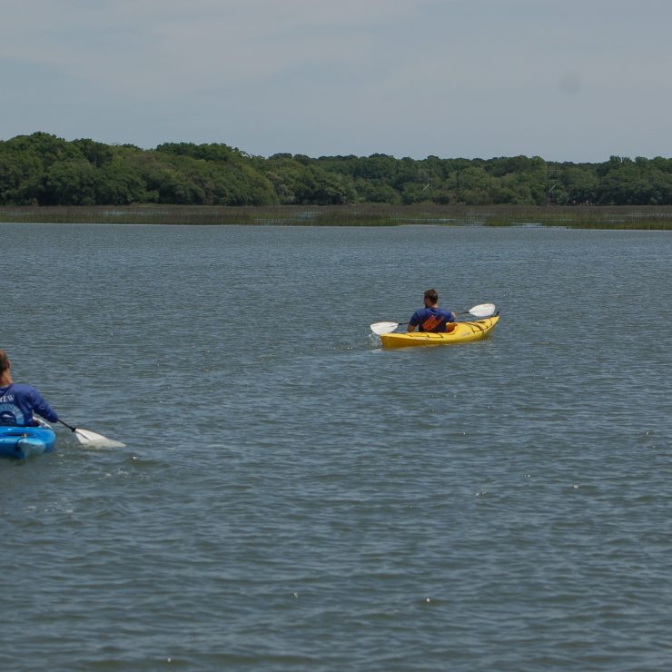 KAYAK AND MONKEY TOUR