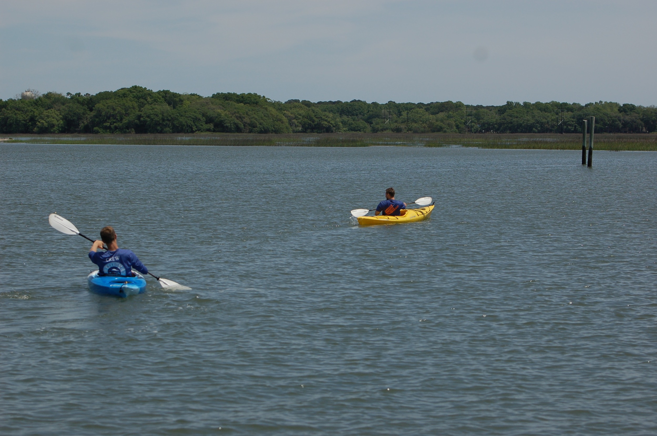 KAYAK AND MONKEY TOUR